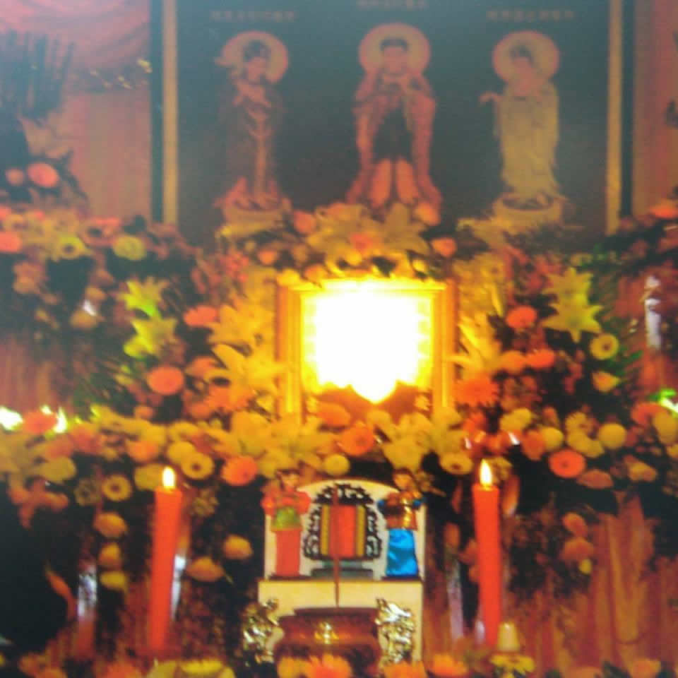 公祭照
